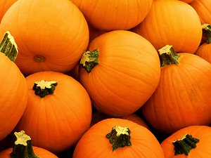 Blog. pumpkin